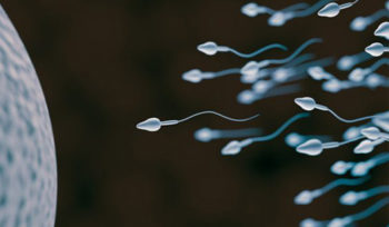 Learning fertility sperm