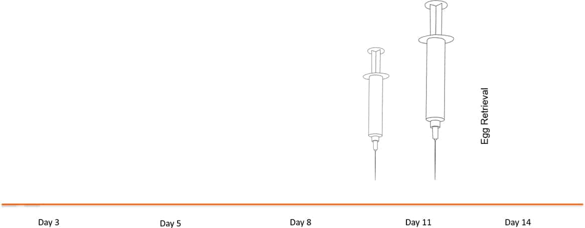 trim11 Egg Retrieval Schedule 1