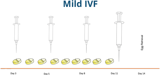 ivfnatural Mild IVF