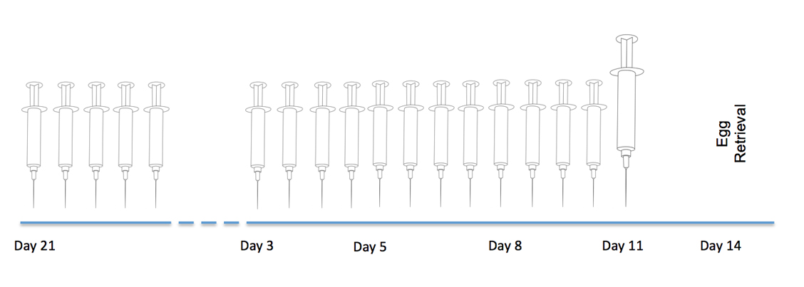 layer image Egg Retrieval Cycle