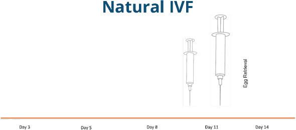 Natural IVF