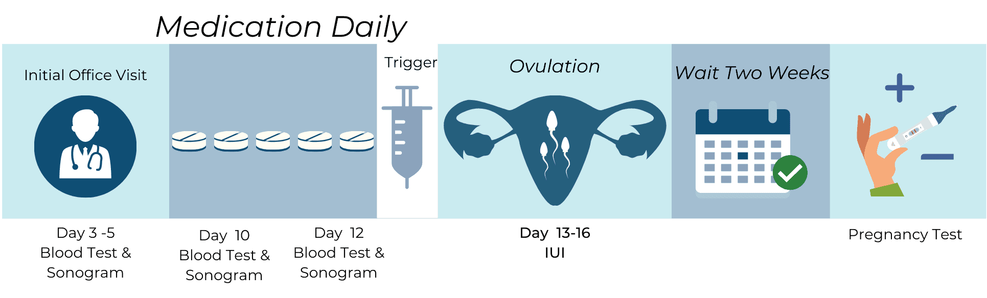 The IUI Process 1
