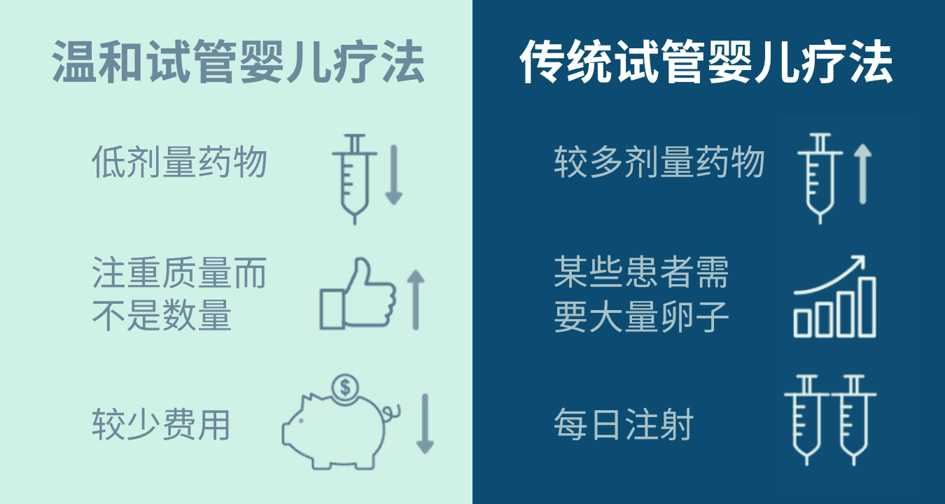 Website (7)
