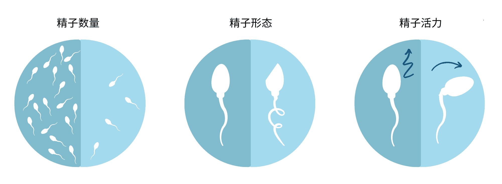 infohandoutschinese2
