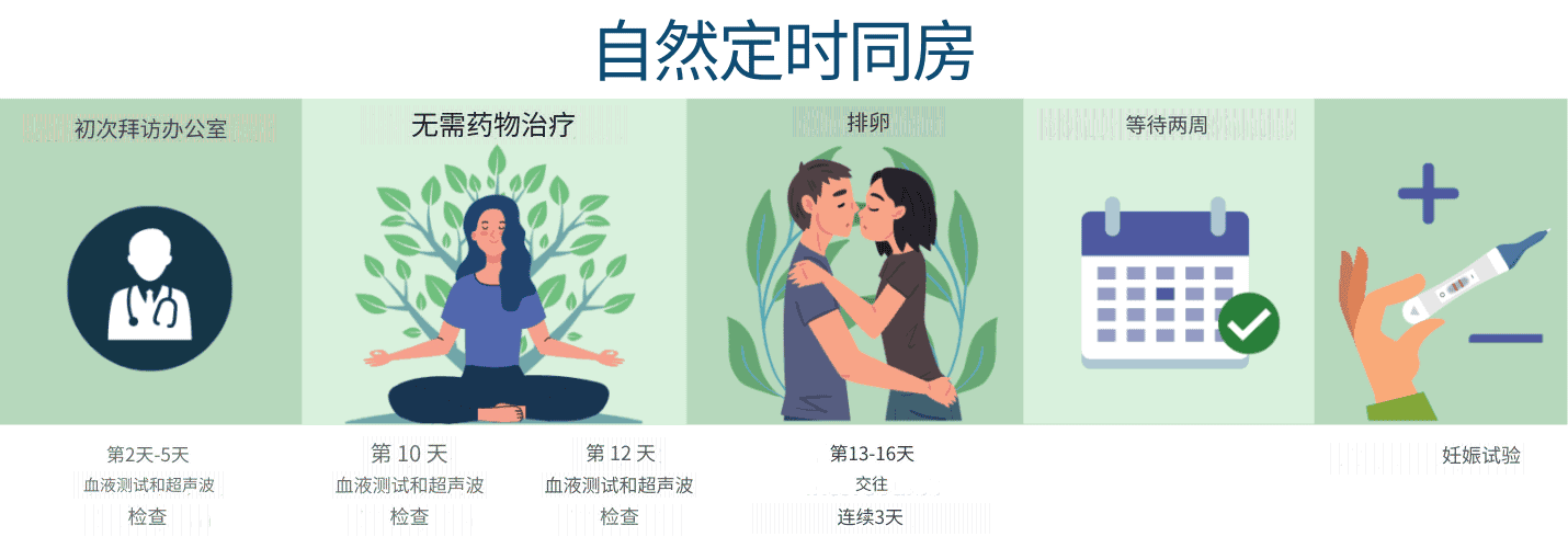 自然定时同房 (1)