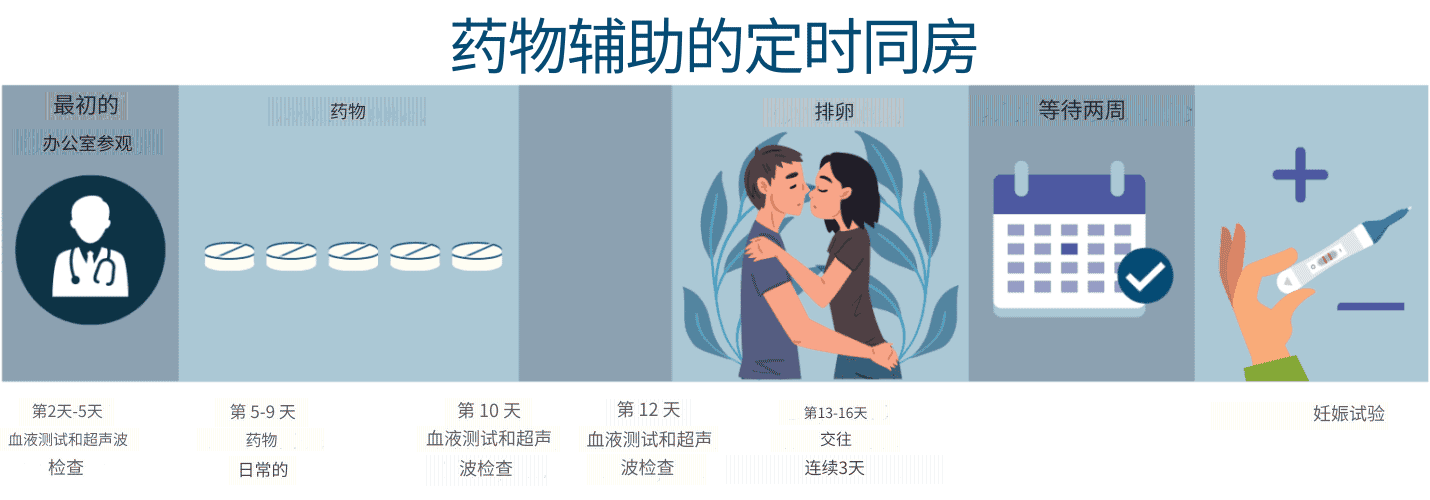 药物辅助的定时同房 (1)