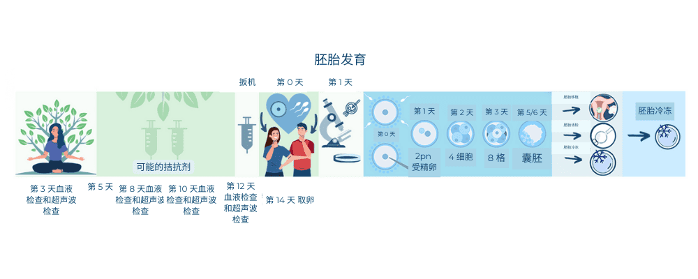 (Chinese (Simplified))