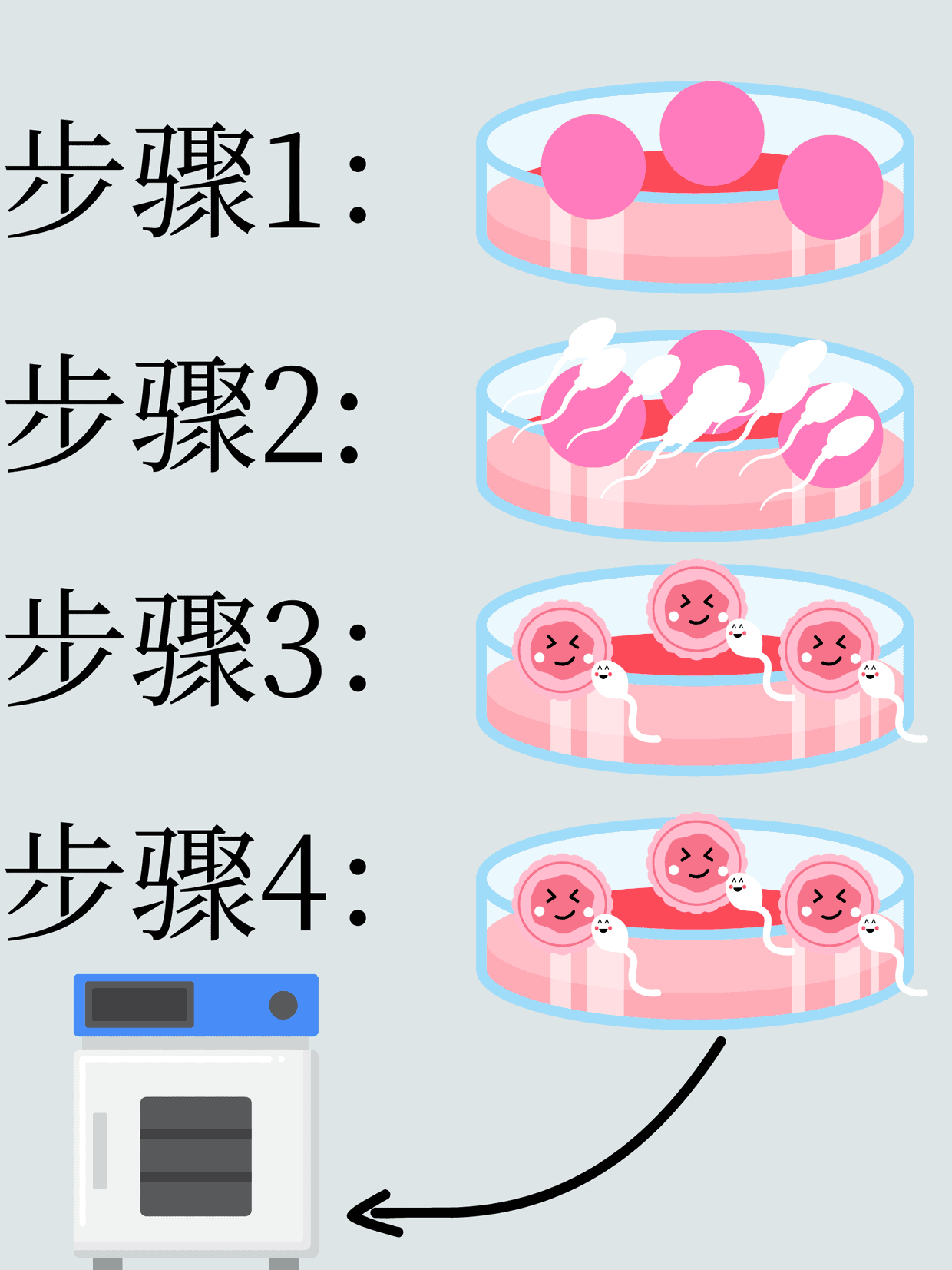 (Chinese (Simplified)) (10) generation next fertility 常规授精