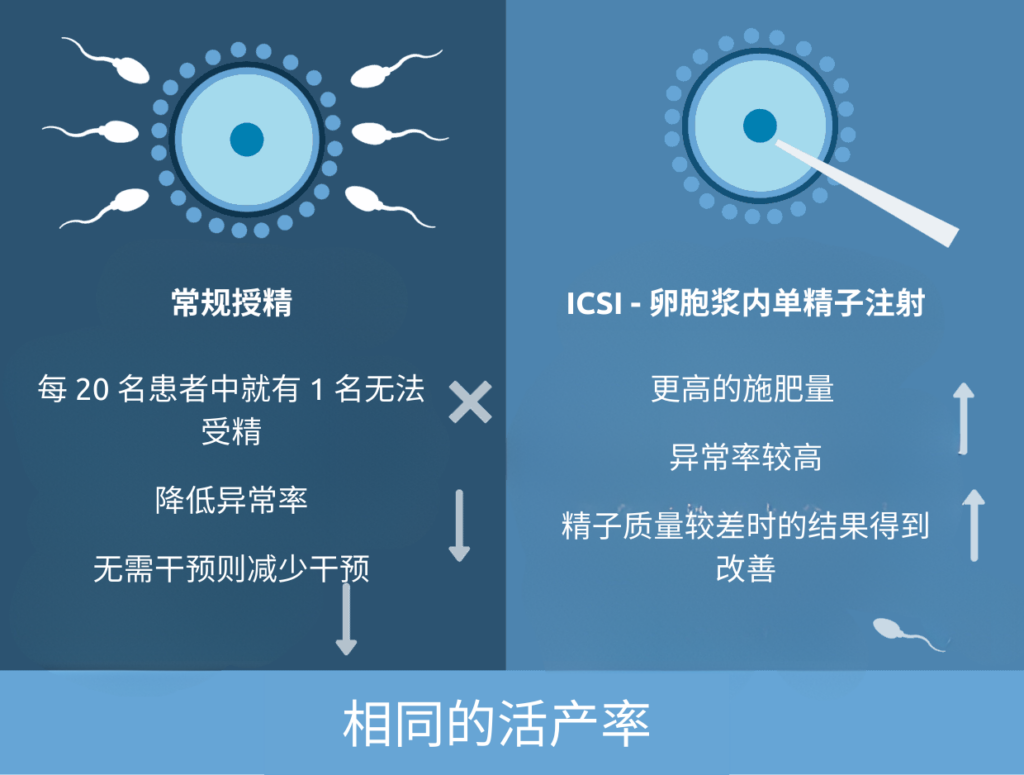 (Chinese (Simplified)) icsi conventional insemination