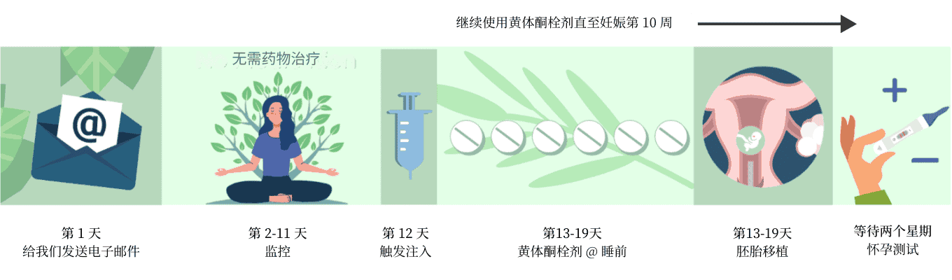 continueprogesteronesuppositorychinese (1) embryo transfer