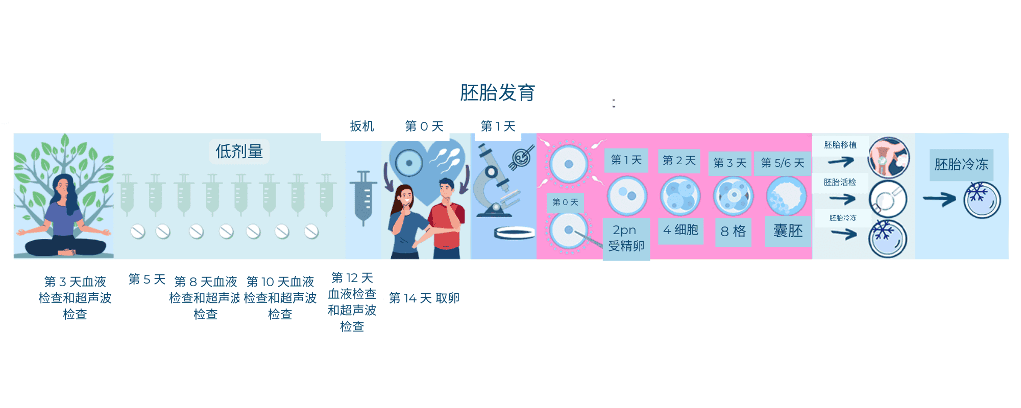 mildivfthingy 轻度体外受精 - Generation Next Fertility