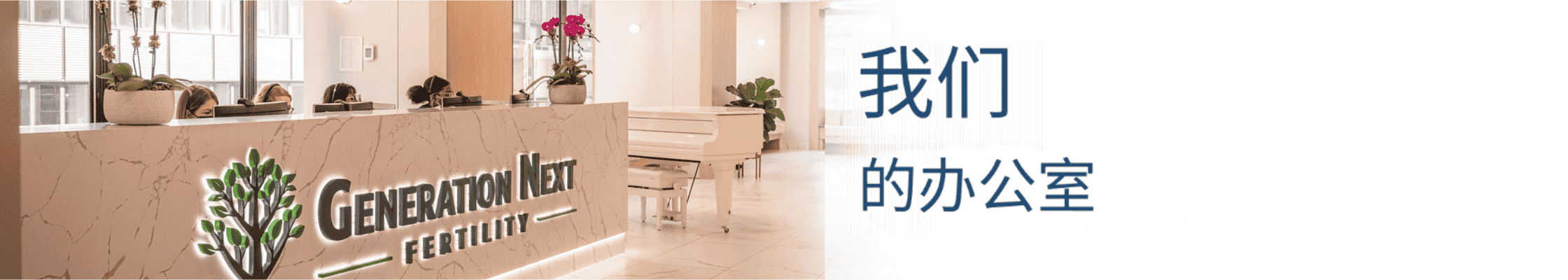 ourofficeschinese