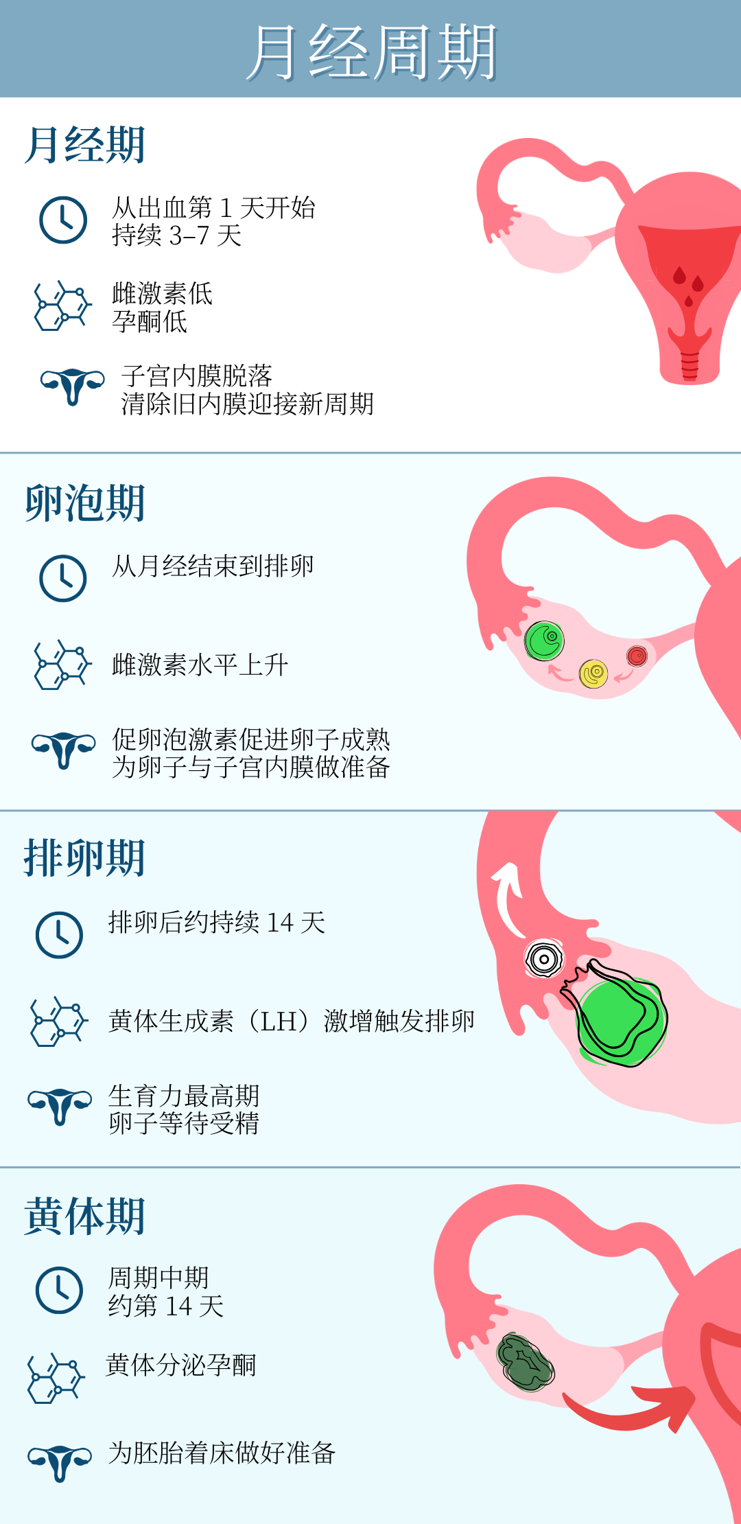 Luteal Phase Stimulation - Generation Next Fertility